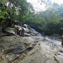 фото из отзыва ID 1463617