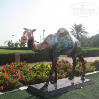 фото из отзыва ID 1463723