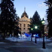 фото из отзыва ID 1463725