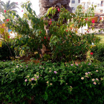 фото из отзыва ID 1463766