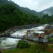 фото из отзыва ID 1463715