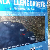 фото из отзыва ID 1463957