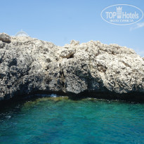 фото из отзыва ID 1464040