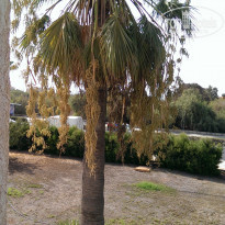 фото из отзыва ID 1464081