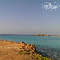 фото из отзыва ID 1464081