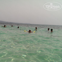 фото из отзыва ID 1464081