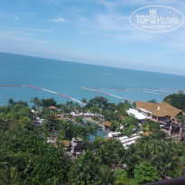 фото из отзыва ID 1464152