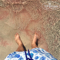 фото из отзыва ID 1464395