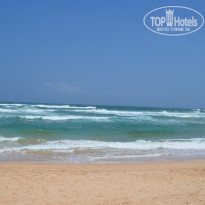 фото из отзыва ID 1464448