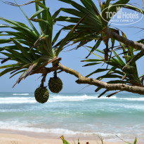 фото из отзыва ID 1464448