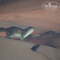 фото из отзыва ID 1464448