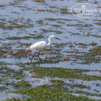 фото из отзыва ID 1464448