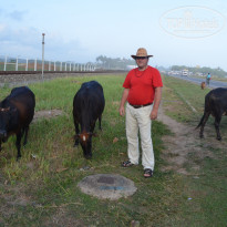 фото из отзыва ID 1464448