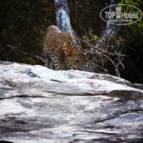 фото из отзыва ID 1464448