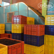 фото из отзыва ID 1464448