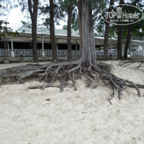 фото из отзыва ID 1462787