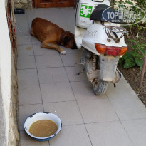 фото из отзыва ID 1464585