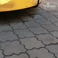 фото из отзыва ID 1464585