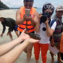 фото из отзыва ID 1464586