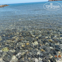 фото из отзыва ID 1464645