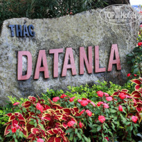 фото из отзыва ID 1464701