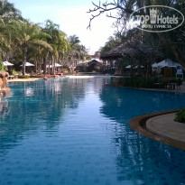 фото из отзыва ID 1464772