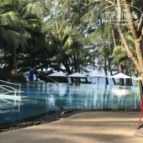 фото из отзыва ID 1464826