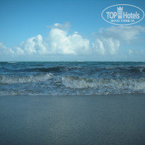 фото из отзыва ID 1464846