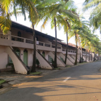 фото из отзыва ID 1464899