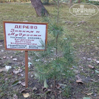 фото из отзыва ID 1462268