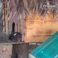 фото из отзыва ID 1462268