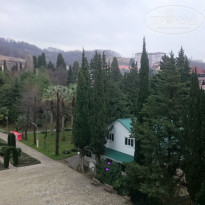 фото из отзыва ID 1462268