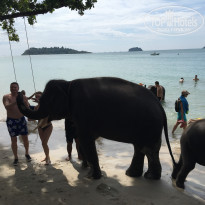 фото из отзыва ID 1464947