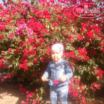 фото из отзыва ID 1465052