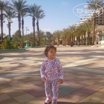 фото из отзыва ID 1465052