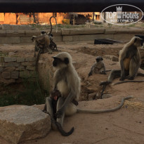 фото из отзыва ID 1465193