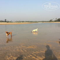 фото из отзыва ID 1465193