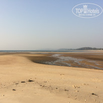 фото из отзыва ID 1465193