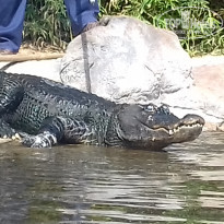 фото из отзыва ID 1465250