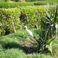 фото из отзыва ID 1465355