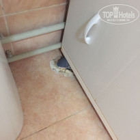 фото из отзыва ID 1465458