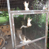 фото из отзыва ID 1465535