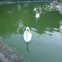 фото из отзыва ID 1465535