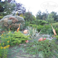 фото из отзыва ID 1465535