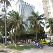 фото из отзыва ID 1465547