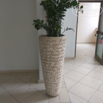 фото из отзыва ID 1465687