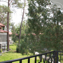 фото из отзыва ID 1465689