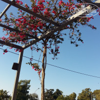 фото из отзыва ID 1465692