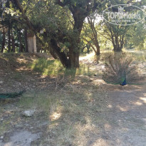 фото из отзыва ID 1465692