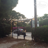 фото из отзыва ID 1465692